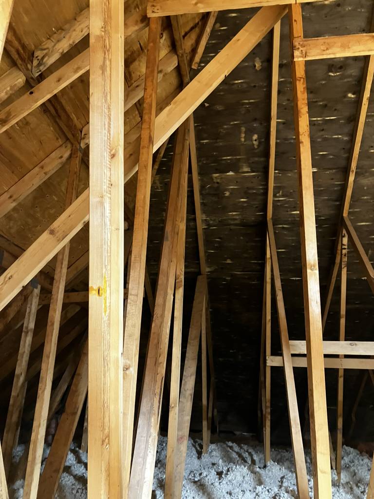 Mold Remediation