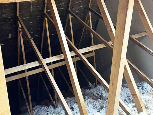 Mould Remediation